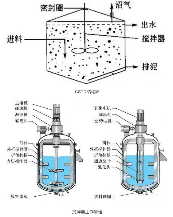 器 消化